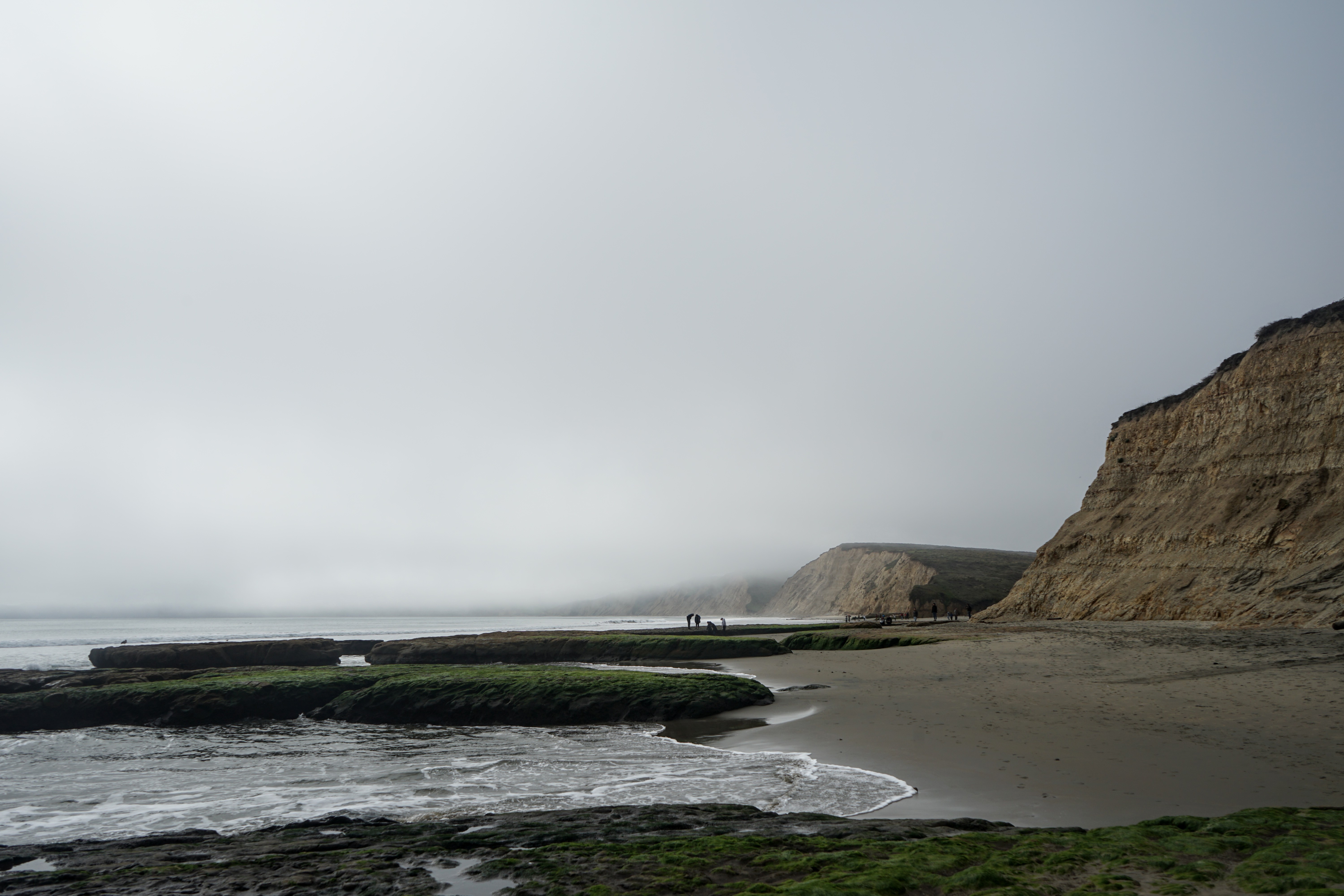 Local带你游湾区】 Marin 北湾马林县- Shengjie's Blog!, image size:6000x4000