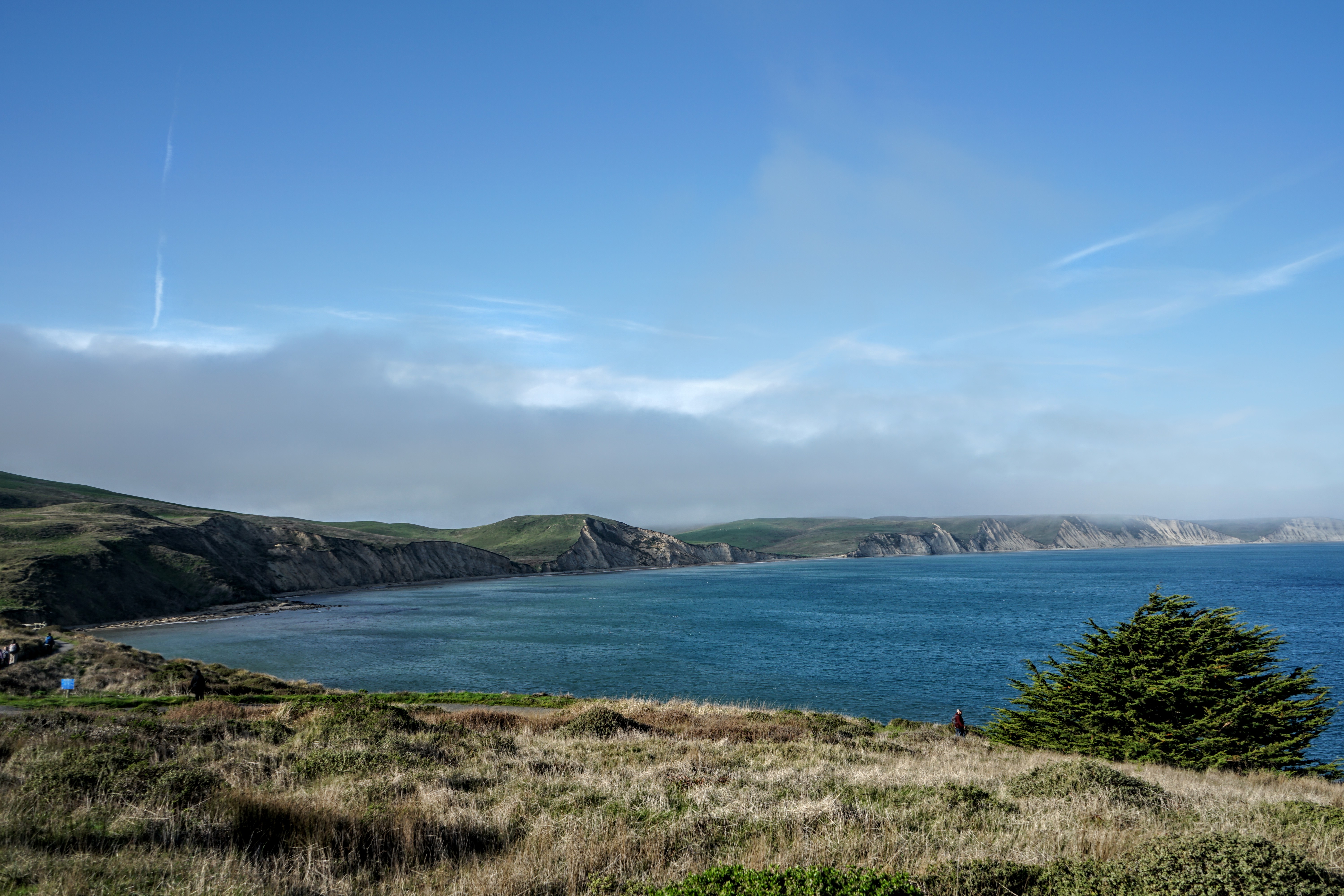 Local带你游湾区】 Marin 北湾马林县- Shengjie's Blog!, image size:6000x4000