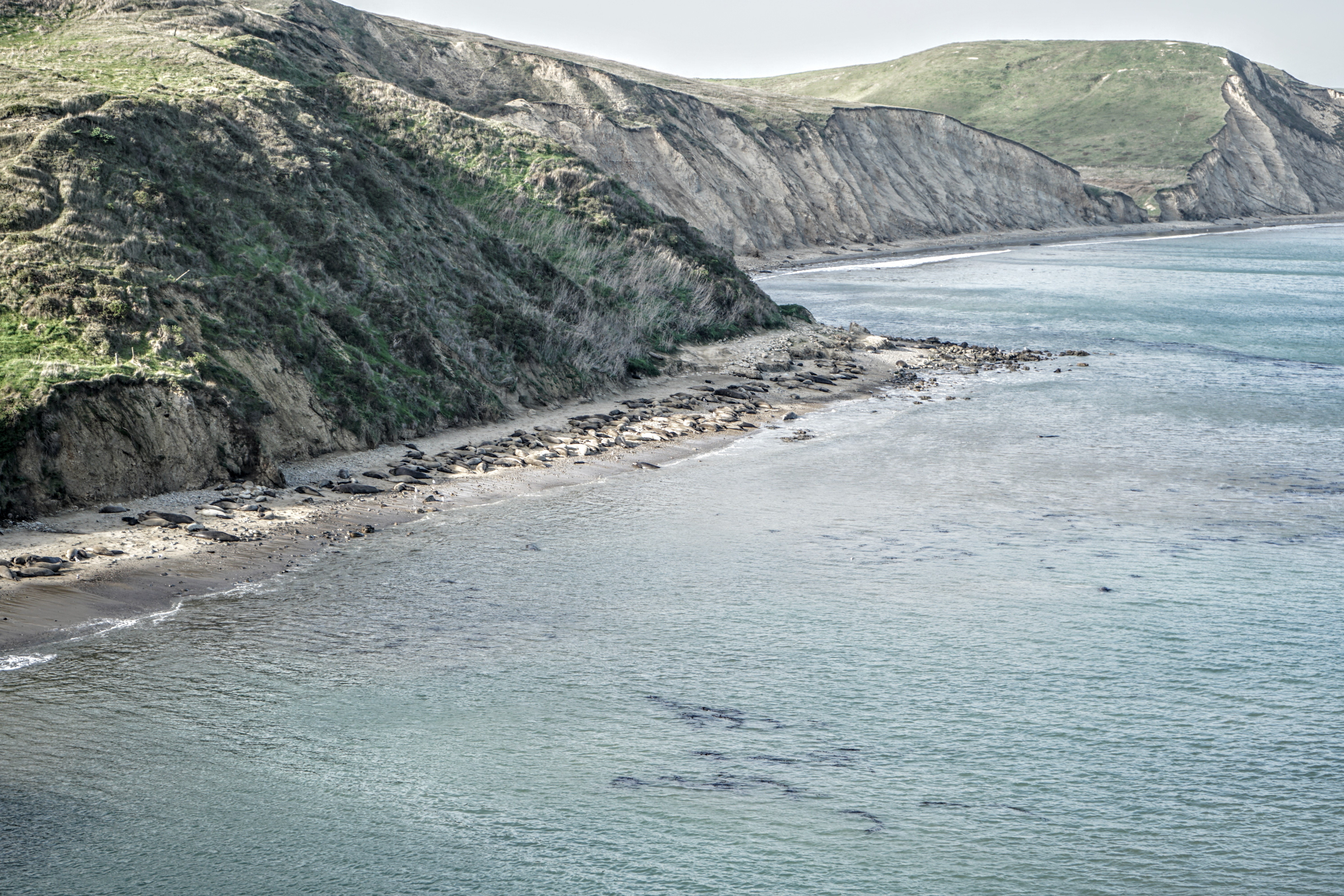 Local带你游湾区】 Marin 北湾马林县- Shengjie's Blog!, image size:6000x4000